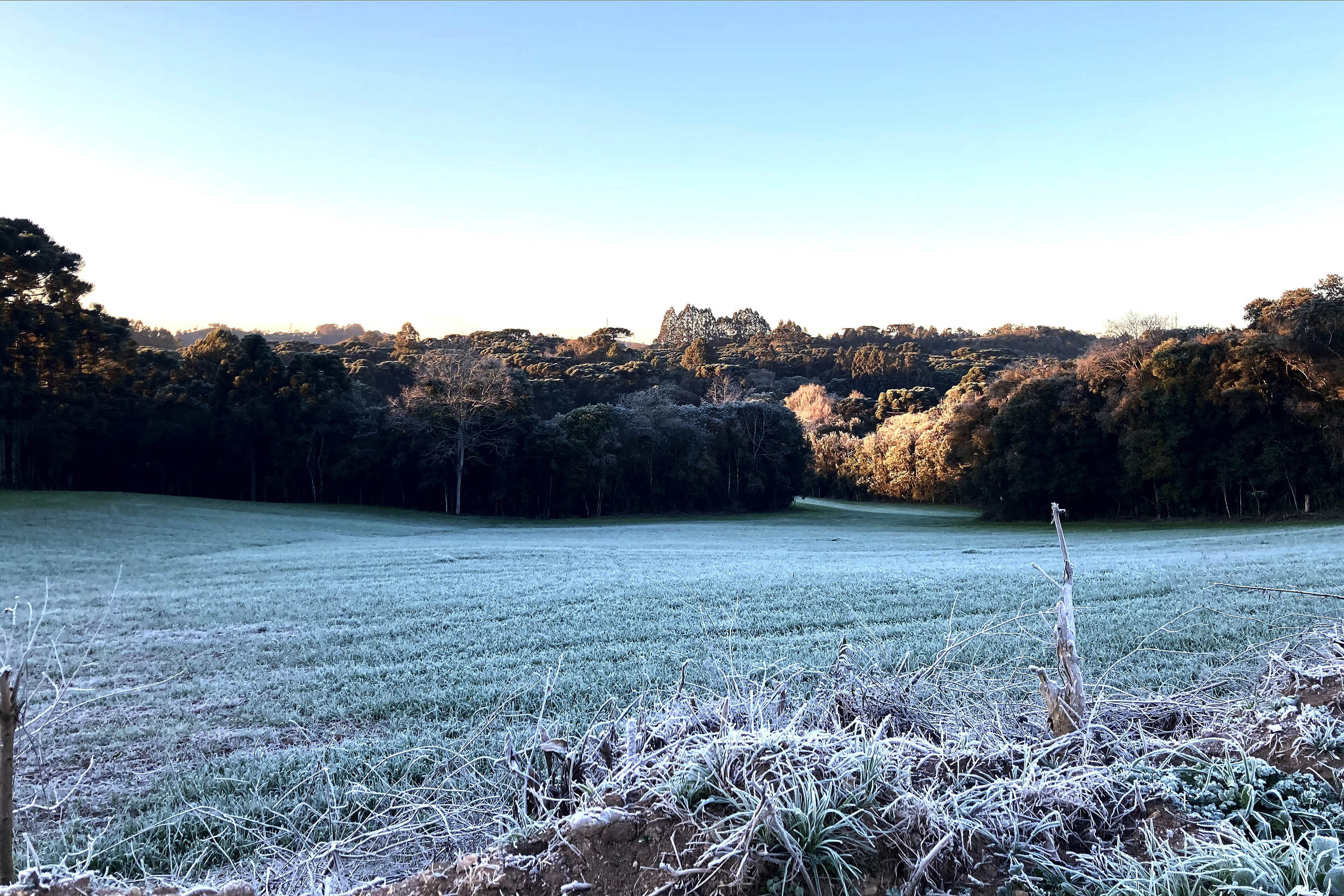 Extremos nas temperaturas e tornados: 2025 registrou dados meteorológicos históricos no Paraná
